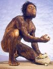 Homo Habilis
